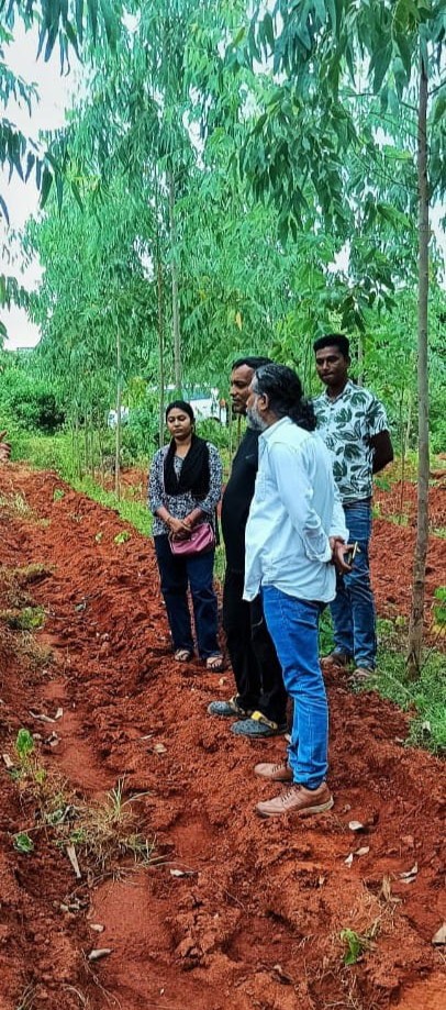 Sustainable Projects